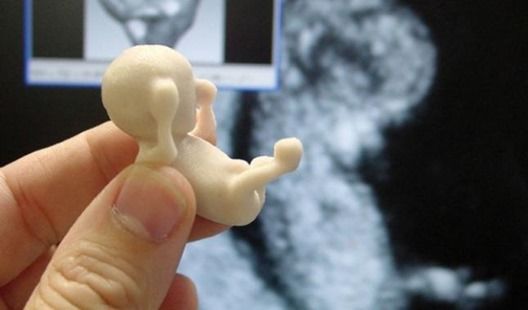 bebe-3d bebe-3d