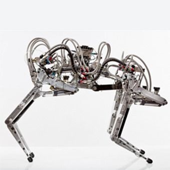 robot-cheetah robot-cheetah