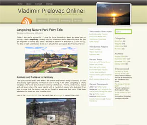 Vista previa de la plantilla WordPress Amazing Grace