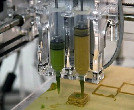 Cabezal de la gastroimpresora 3D Cabezal de una gastroimpresora 3D depositando alimentos